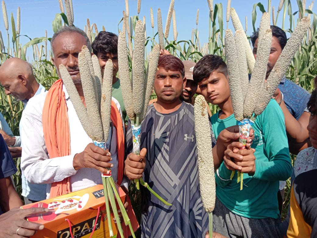 Bajra