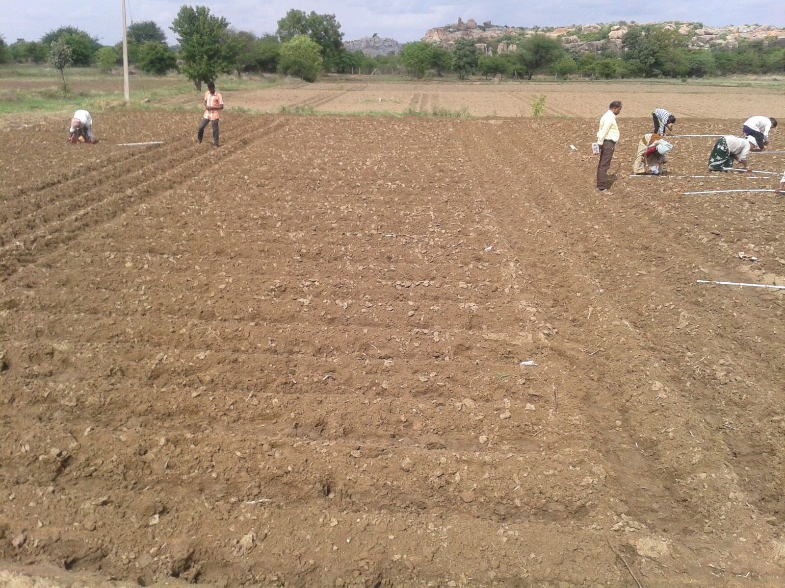 Our facilities