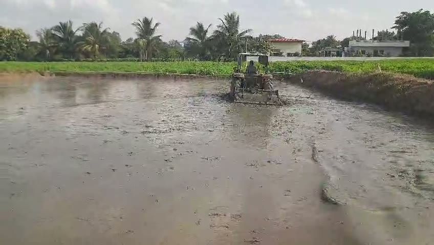 Preparing a paddy field